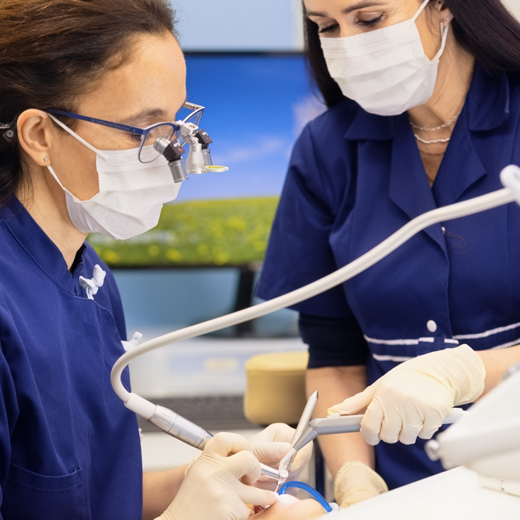 soin en parodontie par le Dr Ronchini Catherine, chirurgien dentiste sur Carbonne au sud Toulouse, Spécialisée dans la parodontie et la Méthode Bonner.