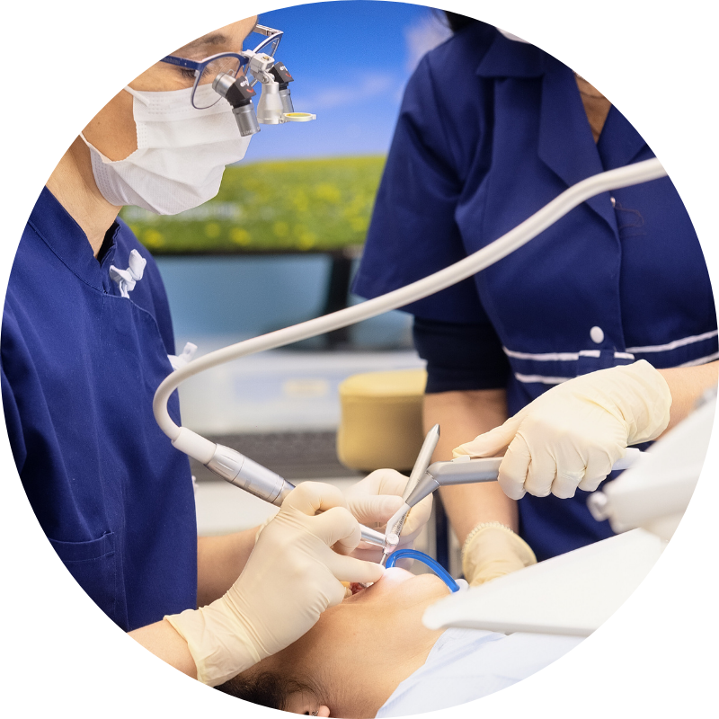 Parodontie, Orthodontie et implantologie sur Carbonne, Toulouse et Muret.